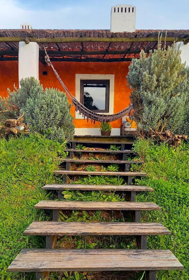Herdade Reguenguinho Cercal do Alentejo ภายนอก รูปภาพ